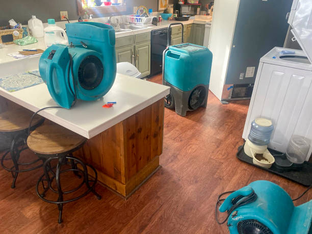 Best Sewage cleanup and water damage restoration  in Bloomfield, IA